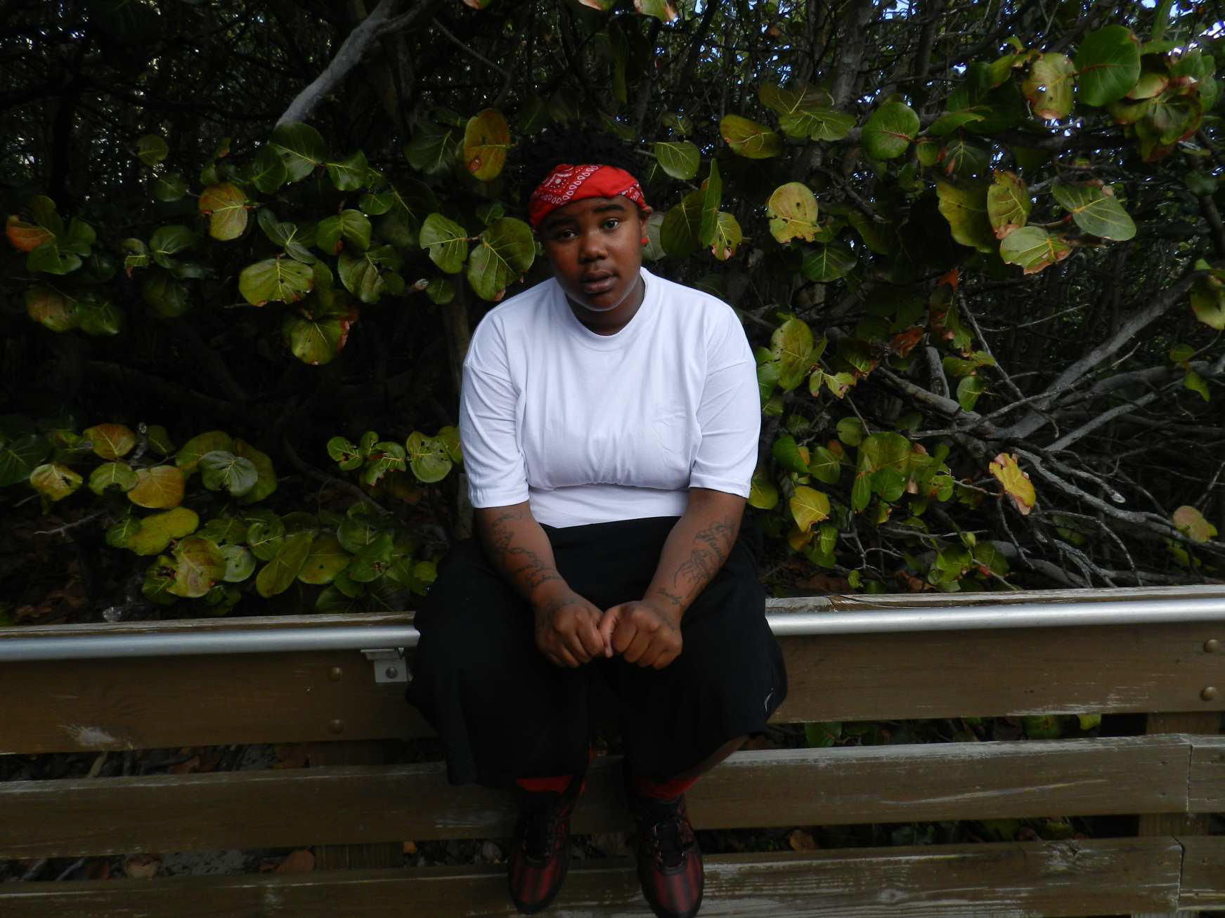 /wp-content/uploads/2015/10/1.17.13 E Perez Case.bmp